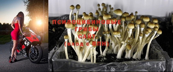 COCAINE Верхний Тагил
