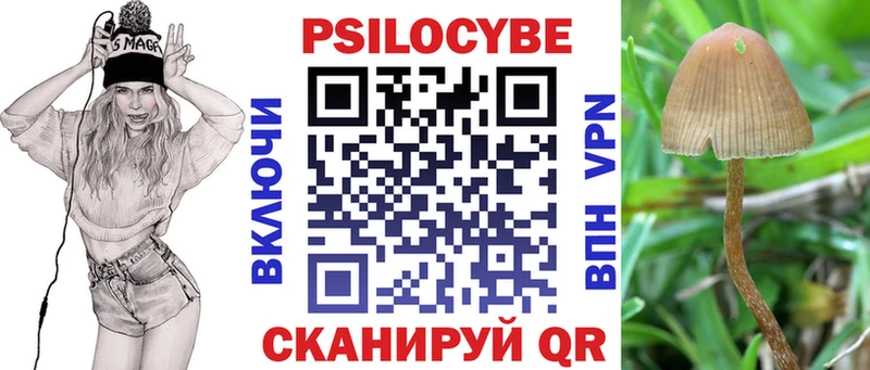 OMG ТОР Каневская Галлюциногенные грибы Psilocybe
