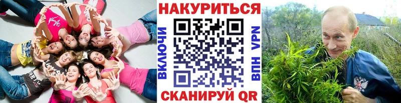 Бошки Шишки сатива  сайты даркнета какой сайт  Каневская 